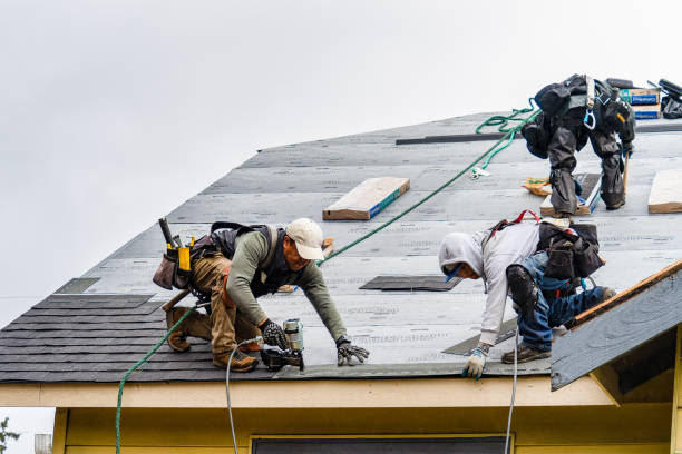 Professional Gutter Installation technician working in Wheat Ridge, CO